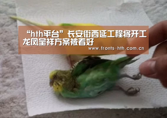 hth官方网站