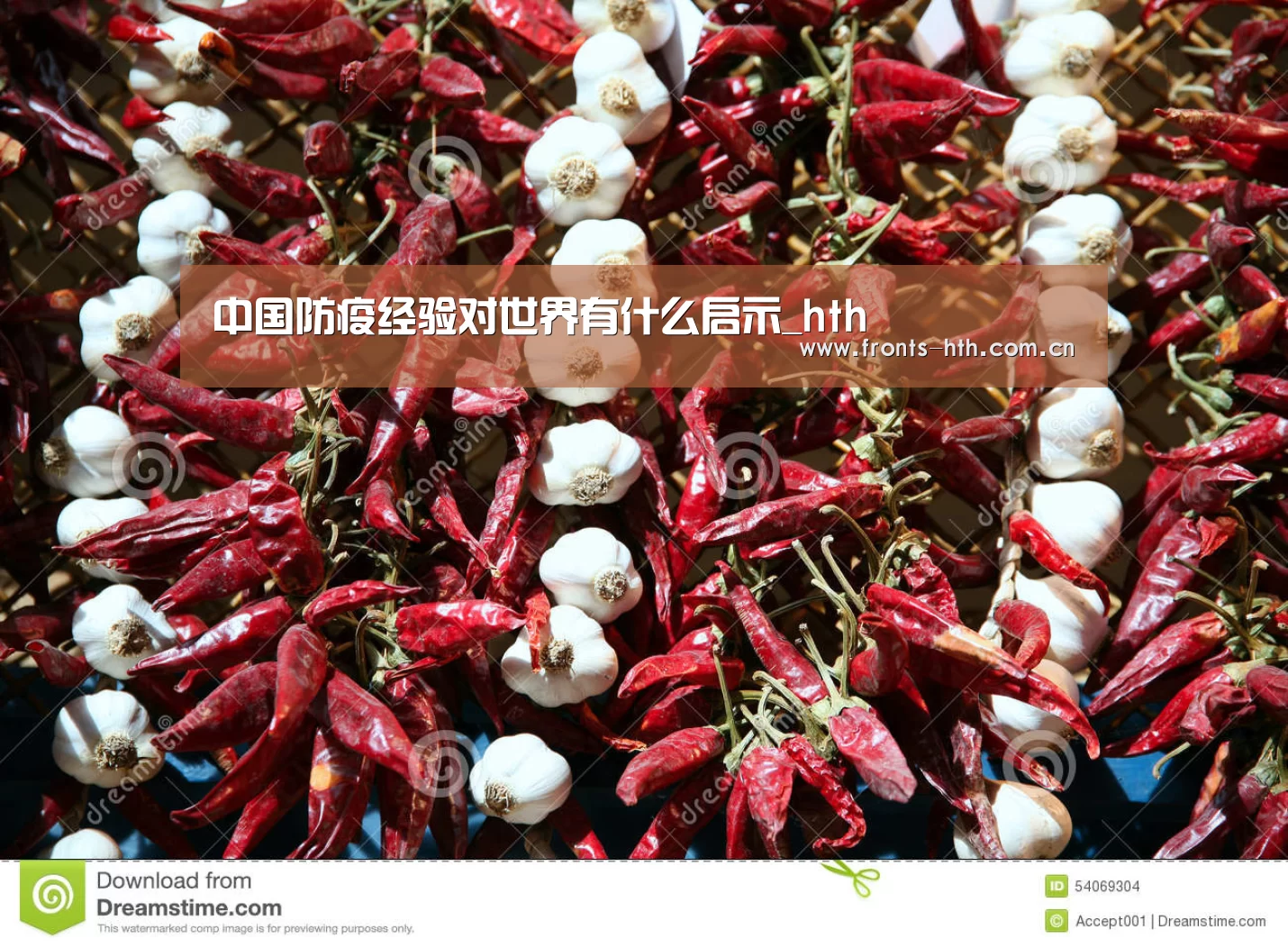 中国防疫经验对世界有什么启示_hth(图1) hth手机版登录